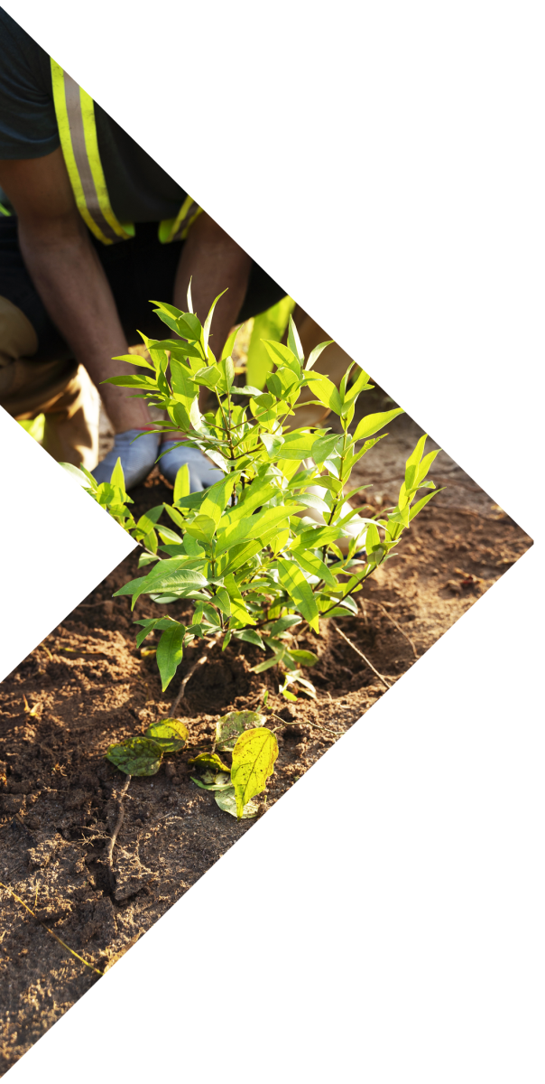 V3 Facilities Management - Sustainability